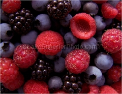 summer_berries.jpg